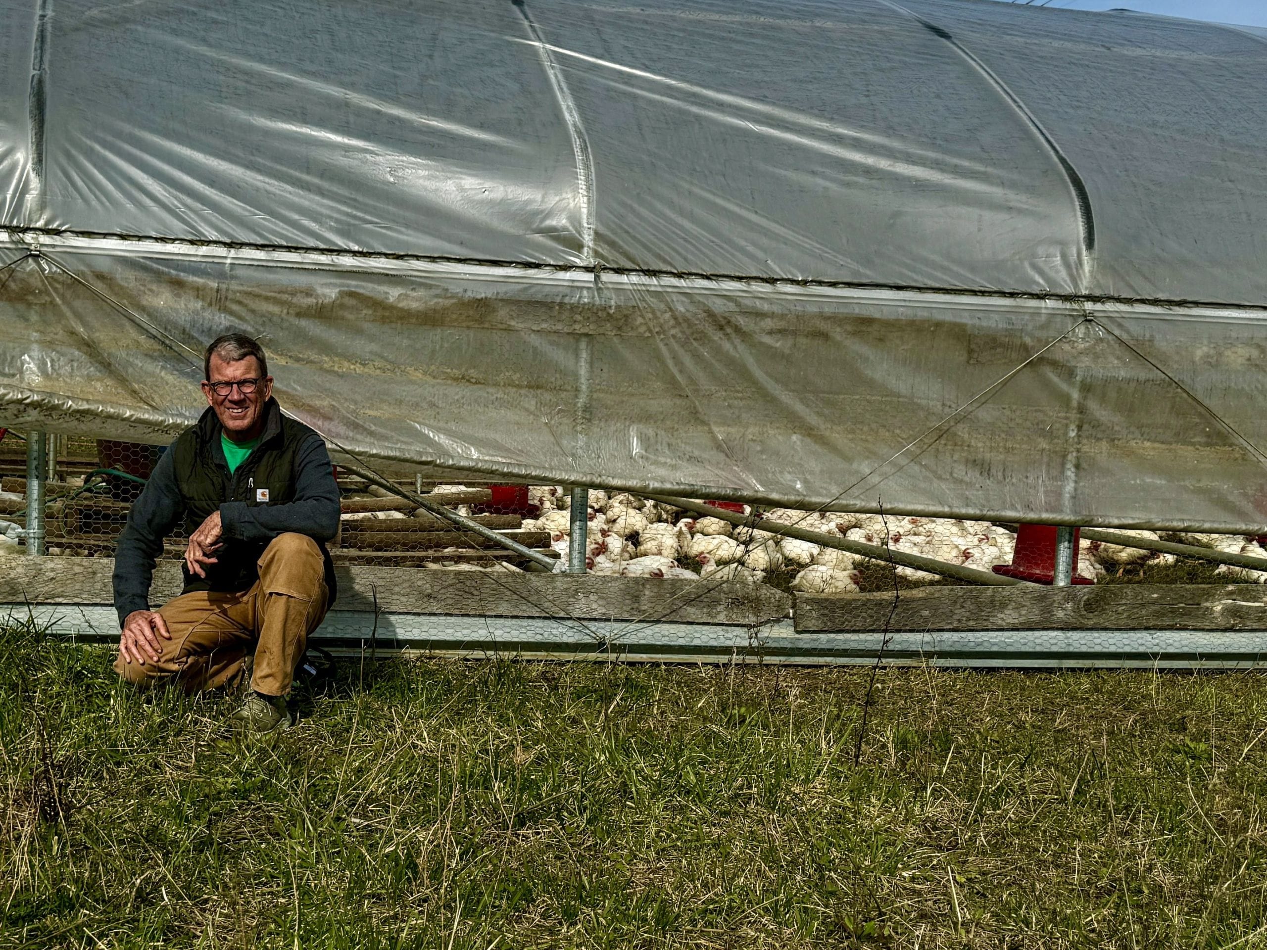 A farmer kneeling in front of a mobile pasture shelter with pasture-raised chickens visible inside, set on a green, grassy field