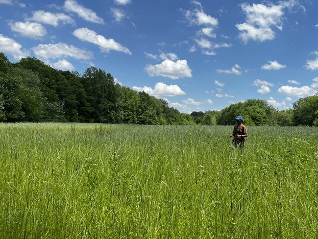 What about Regenerative Agriculture?