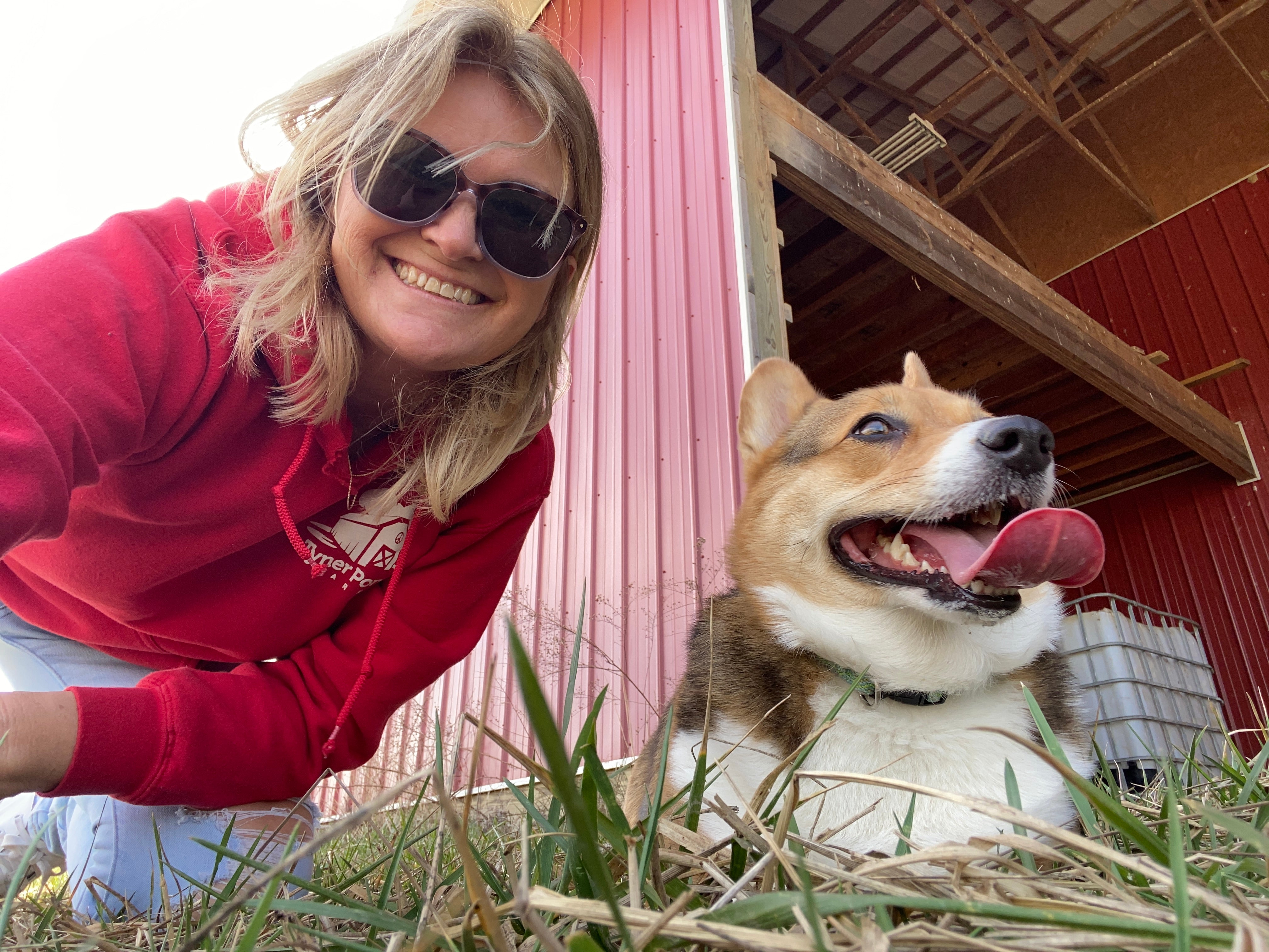 BARF Beginner’s Bundle: A 10-Day Introduction to Raw Feeding for Your Pet