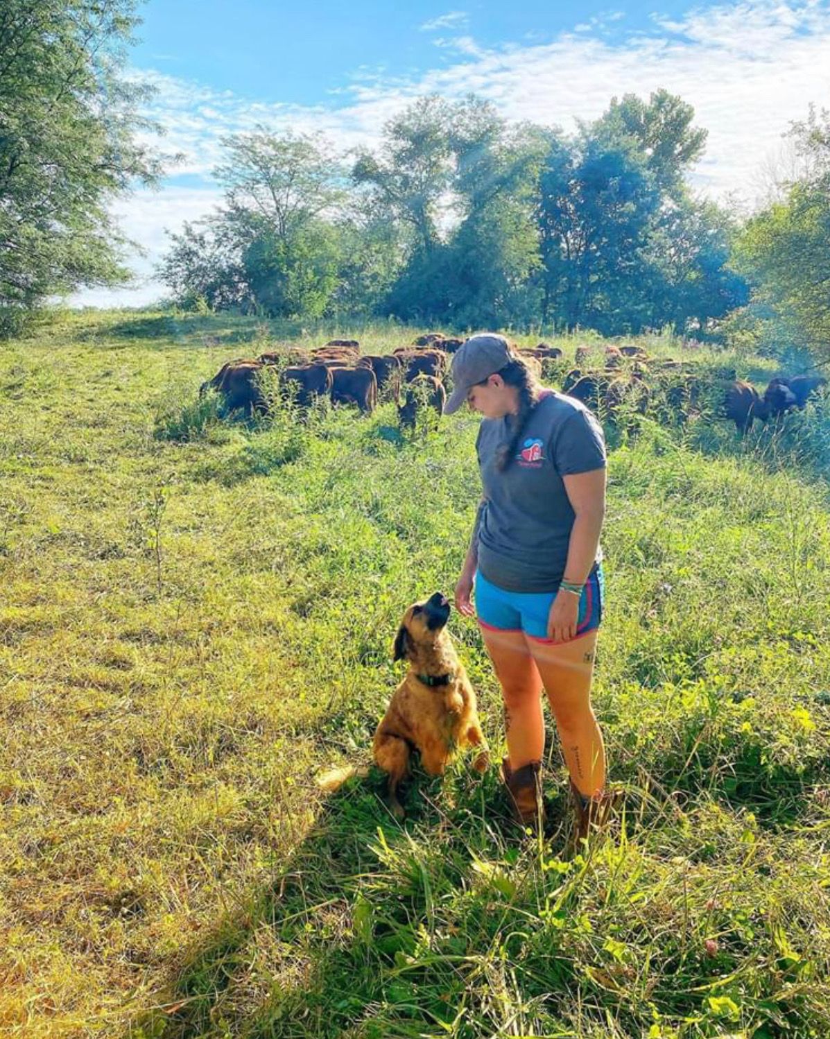 Balanced Raw Dog Food Bundle