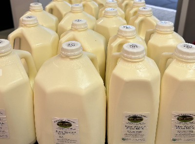 Gallon jugs of raw milk from Kemps Organic Dairy showing a high creamline