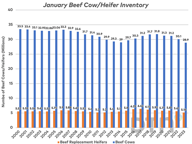 Beef consumption in the United States.