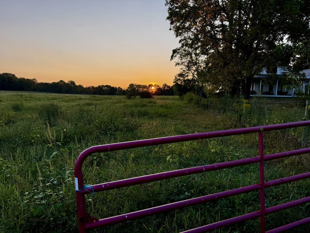 A sunrise over a field at Tyner Pond Farm, highlighting the early morning peace and regenerative farmland.