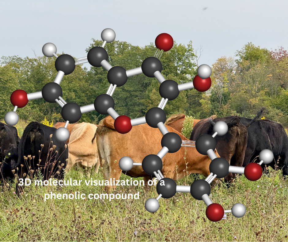 3D molecular visualization of a phenolic compound