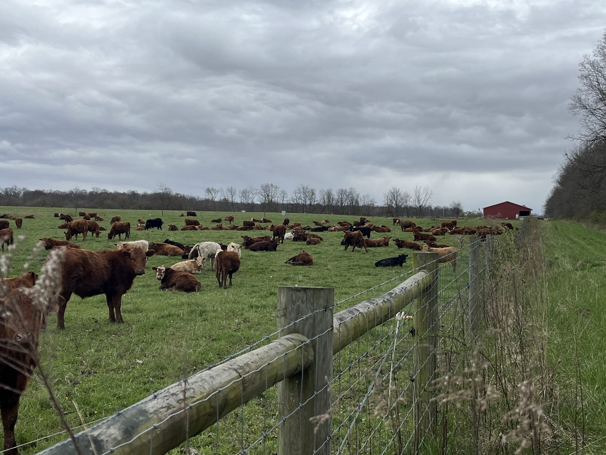 Organic and American Grassfed Association