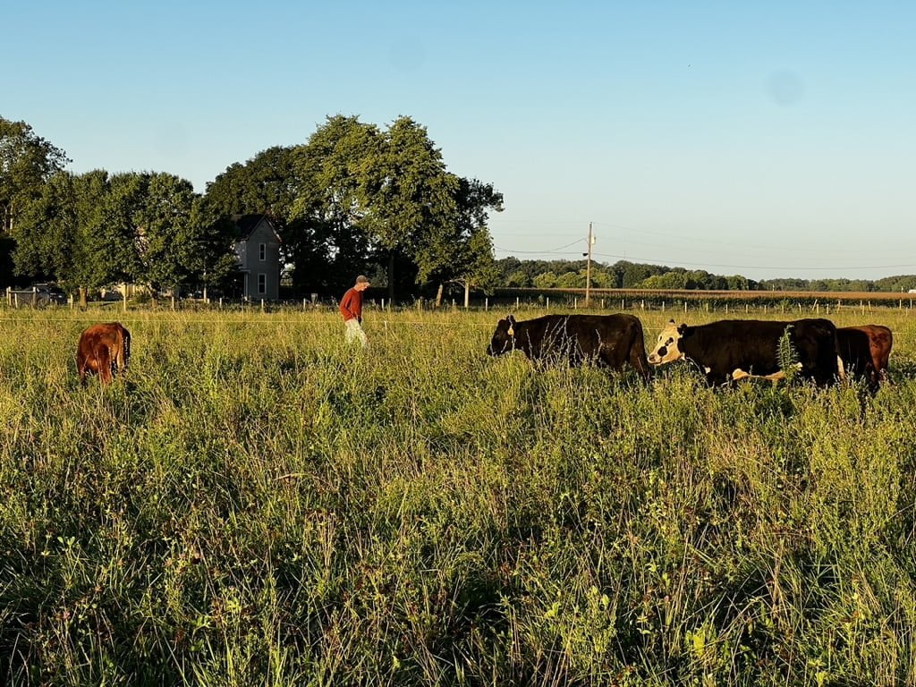 Tyner Pond Farm Greenfield, Indiana