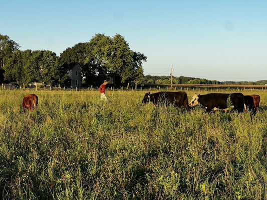 Tyner Pond Farm Greenfield, Indiana