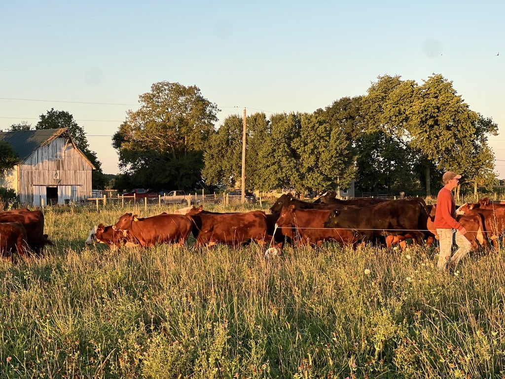 Farmers from Tyner Pond farm with our Grassfed Cattle in Indiana