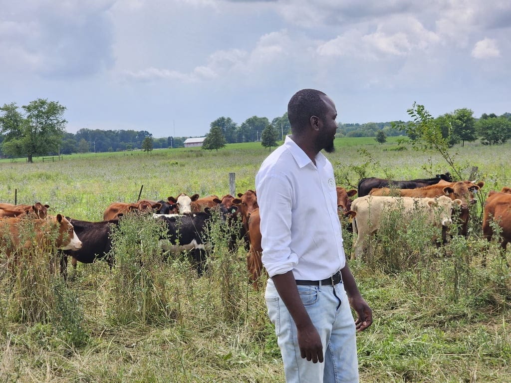 A Mandela Washington Fellow stands in a grassy field next to a herd of cattle at Tyner Pond Farm, discussing regenerative agriculture practices.