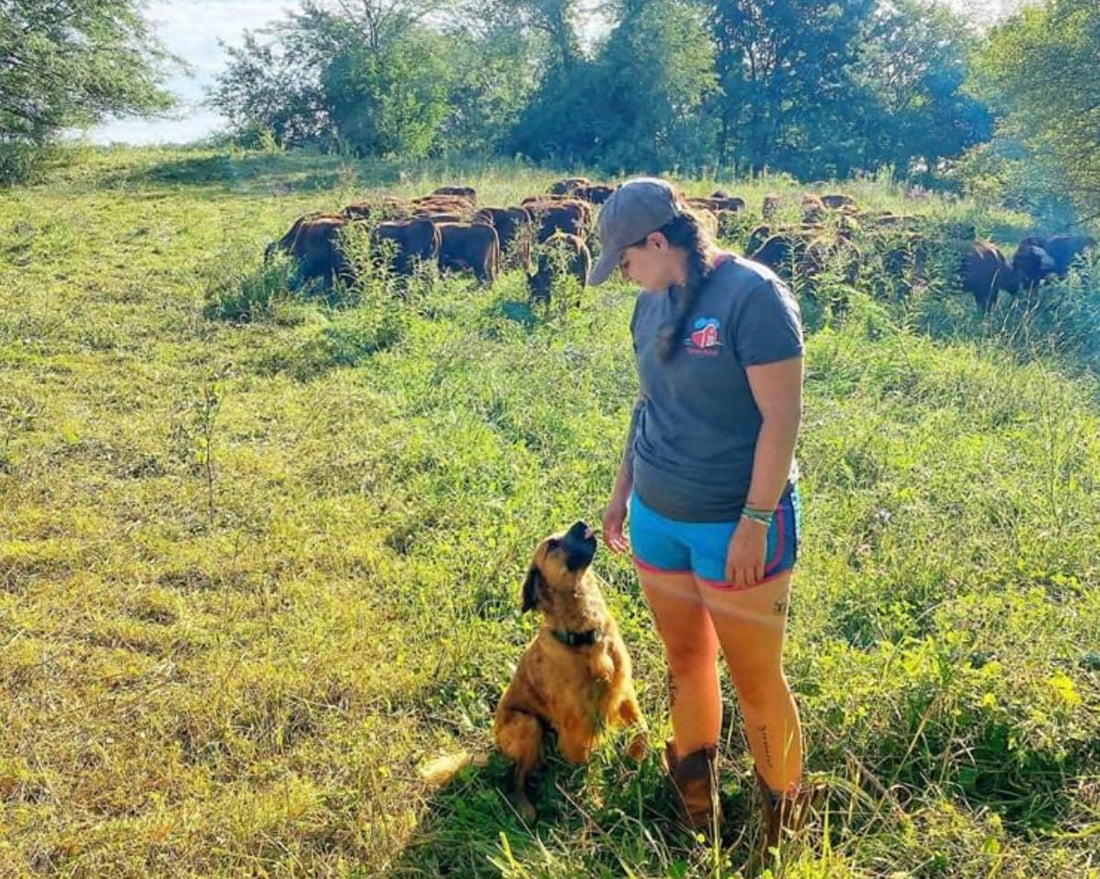 Farm dog sitting beside a woman in a pasture with cattle grazing in the background, representing Tyner Pond Farm’s regenerative practices and nutrient-dense raw dog food.