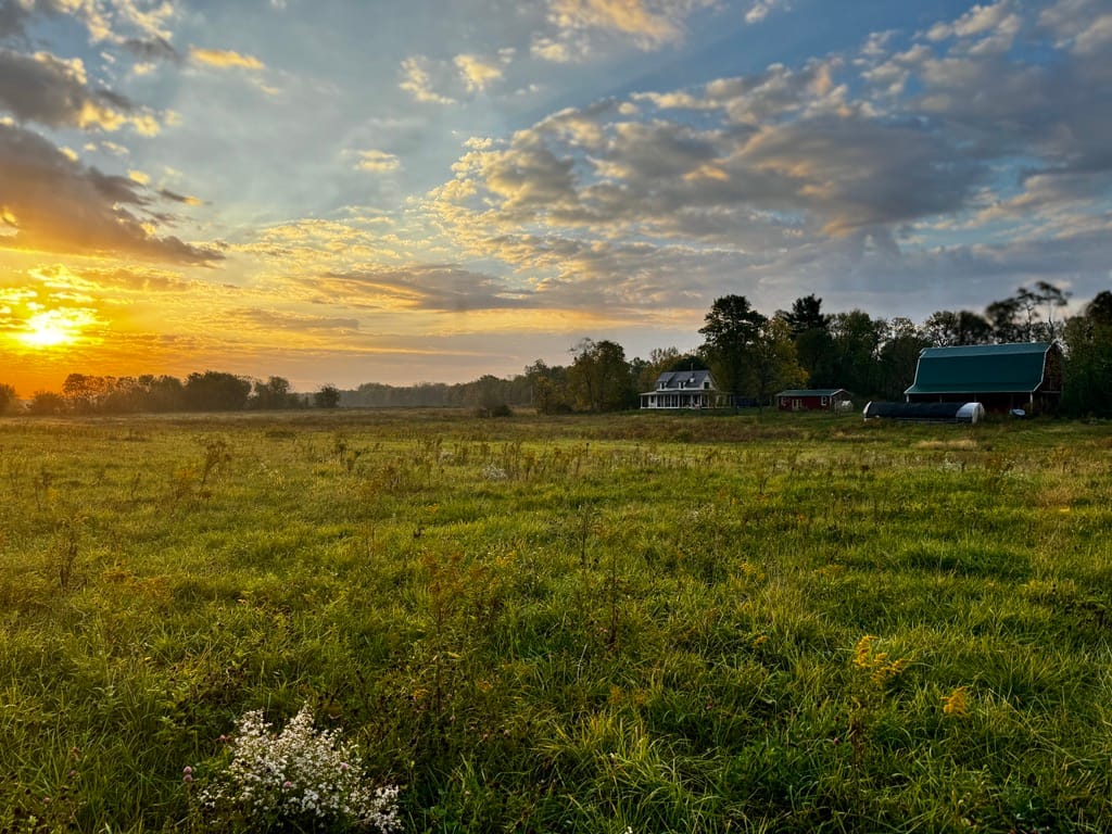 A scenic sunrise over a pasture, with a farmhouse and barn in the background, representing harmony with nature and regenerative farming practices inspired by biomimicry.