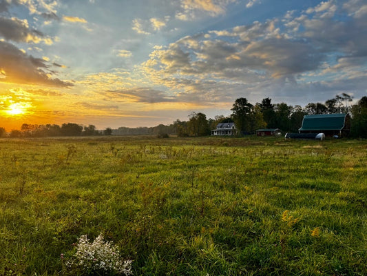 A scenic sunrise over a pasture, with a farmhouse and barn in the background, representing harmony with nature and regenerative farming practices inspired by biomimicry.