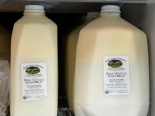 Gallons of raw whole cow milk from Kemp Family Organic Dairy, certified organic and grass-fed, displayed in Tyner Pond Farm’s cooler.