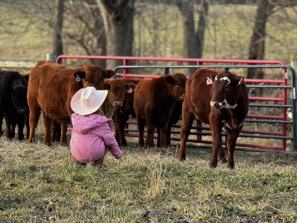 Little-Girl-On-Regenerative-Farm