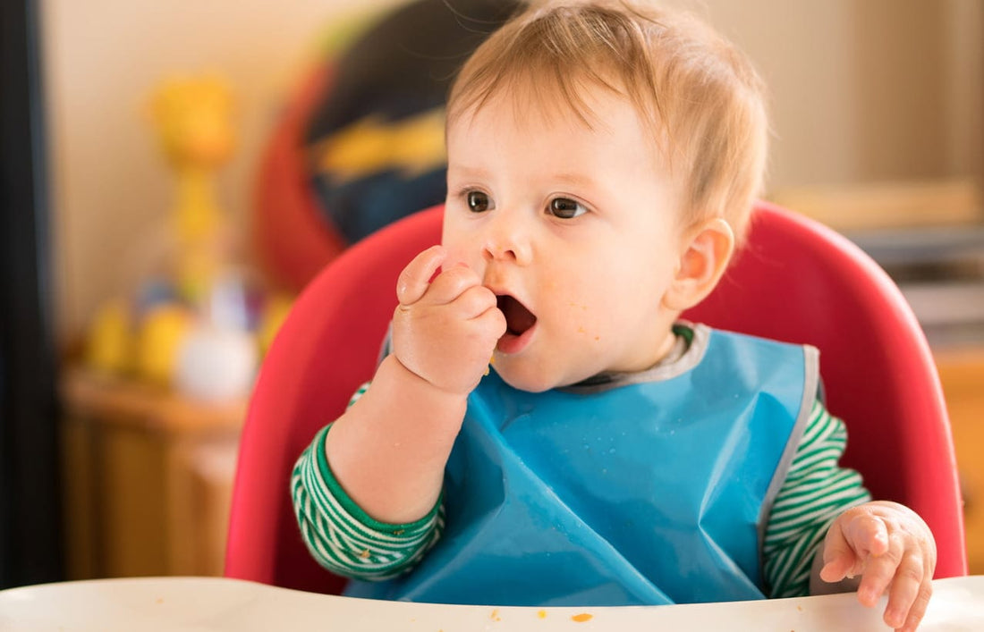 Baby feeding themselves during baby-led weaning, enjoying their first solid foods in a high chair.
