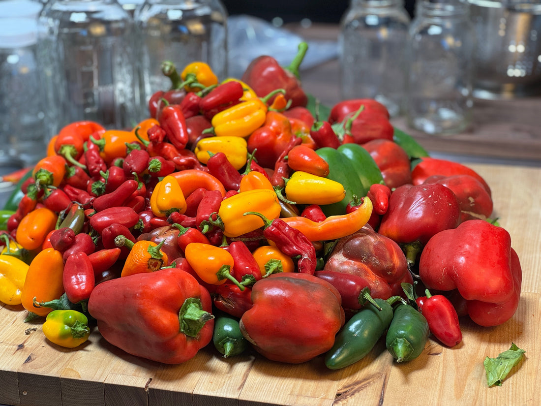 How to Make and Use Pepper Sauce