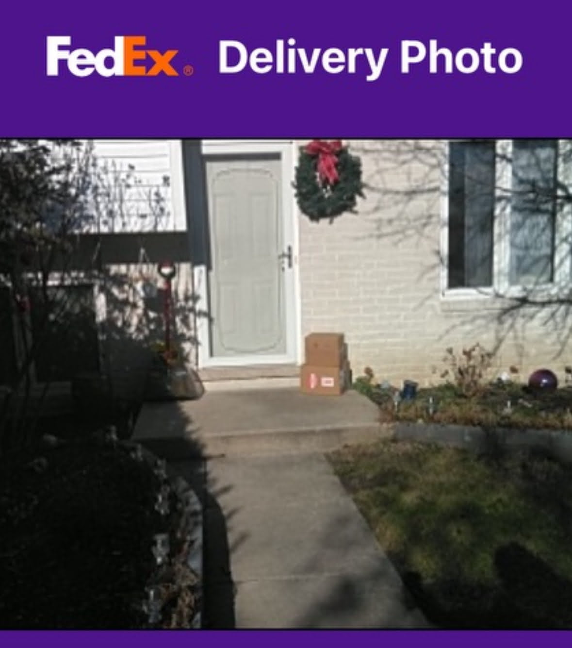 Online Meat Delivery