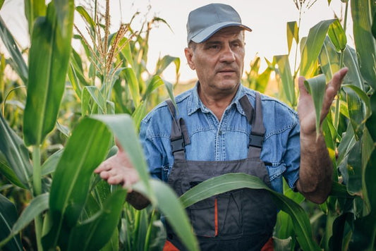 Tyner Pond Farm, Corn Farmer, Grass fed Beef,