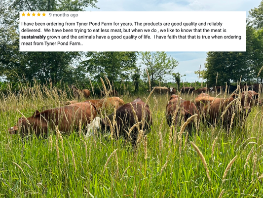 "grass-fed beef", "Central Indiana", "sustainable agriculture", "Tyner Pond Farm", "omega-3 fatty acids", "conjugated linoleic acid", "soil health", "carbon sequestration", and "environmental sustainability"
