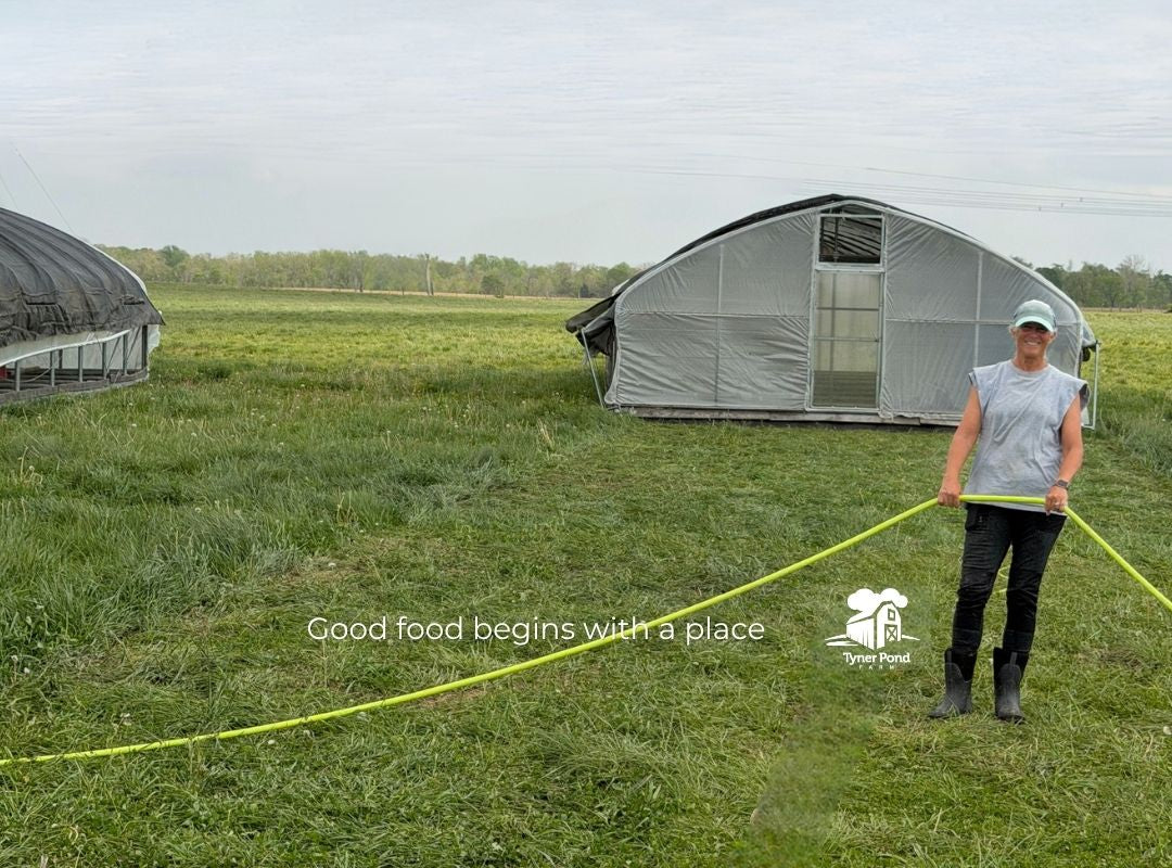 Amy moving pasture-raised chickens on fresh grass at Tyner Pond Farm in Indiana