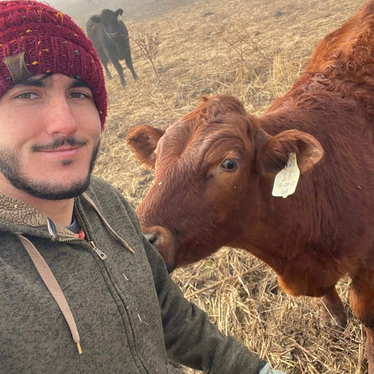 Winter pasture ground cover protecting soil in Indiana