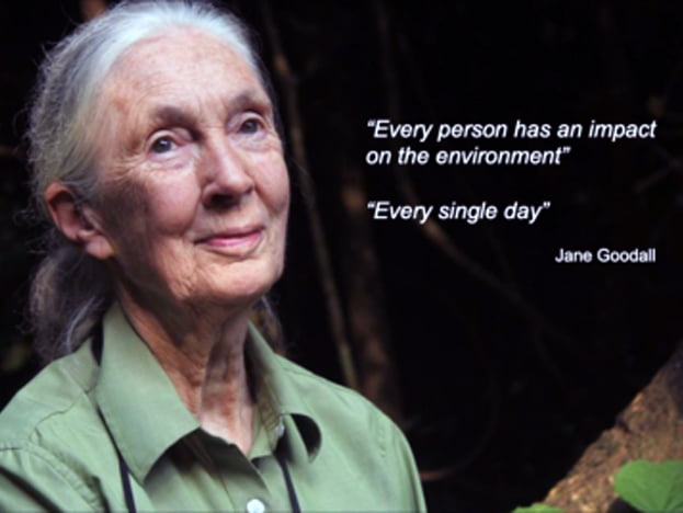 We all impact the environment every day…