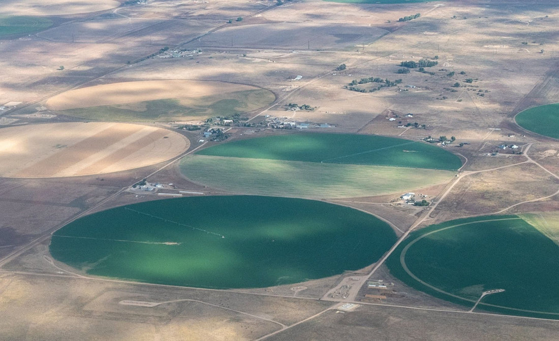 Aerial view of center-pivot irrigated cropland surrounded by dry Great Plains grassland, showing the contrast between row crops and native pasture.