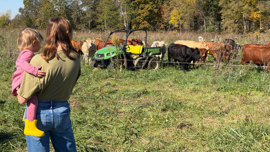 An adult holds a child beside a pasture with cattle, a green utility vehicle and autumn-colored trees.