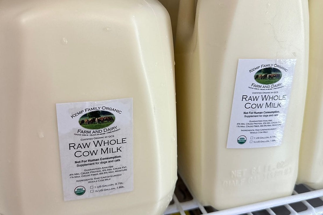 A gallon and a half gallon of raw whole cow milk from Kemp Family Organic Farm and Dairy, labeled USDA Organic, on a refrigerator shelf