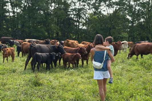 Woman holding a child beside Tyner Pond Farm cattle grazing certified organic pasture in Greenfield, Indiana.