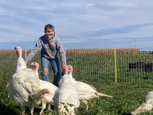 White turkeys on green pasture at Tyner Pond Farm, with a person tending the flock.