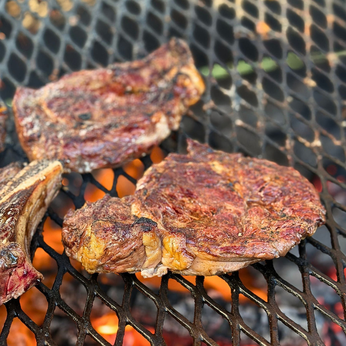 Grass-fed ribeye steaks cooking over an open flame during the Great Steak Cookoff at Churchtown Dairy in New York.