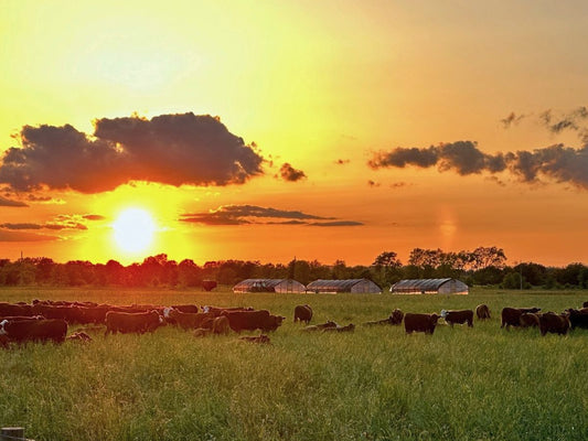 Wendell Berry Gave Words to What We Were Learning on the Farm