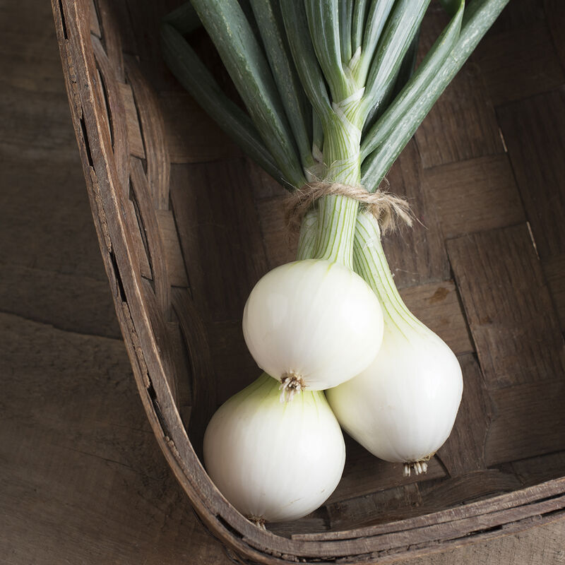 Onions