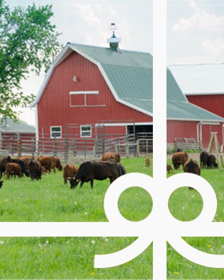 Tyner Pond Farm E-Gift Card