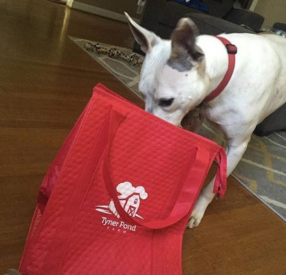 Ground Raw Dog and Cat Food (1lb)