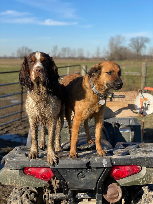 ​Balanced Raw Dog Food Bundle