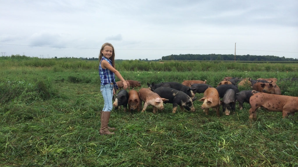 Young girl in pasture with piglets at Tyner Pond Farm