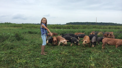 Young girl in pasture with piglets at Tyner Pond Farm