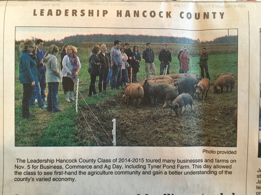 Newspaper photo showing customers visiting hogs on pasture