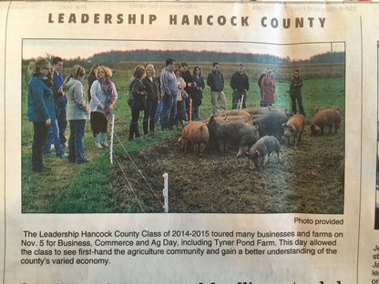 Newspaper photo showing customers visiting hogs on pasture