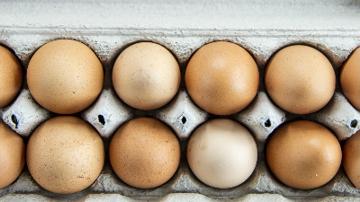 Top-down view of pasture-raised eggs in carton, collected from hens rotated daily on grass